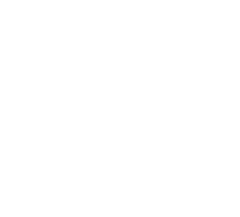 Mega Aviation logo